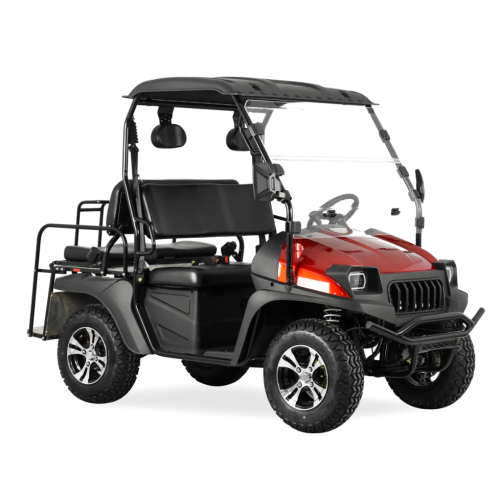 Jeep Style 200cc EFI Golfwagen mit EPA